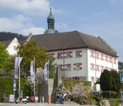 Schloss Tiengen